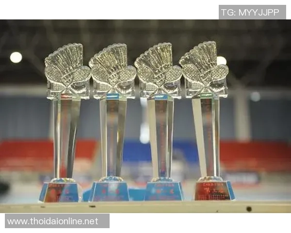 南京羽毛球队总决赛心理素质分析与表现评估 南京羽毛球队总决赛心理素质分析与表现评估