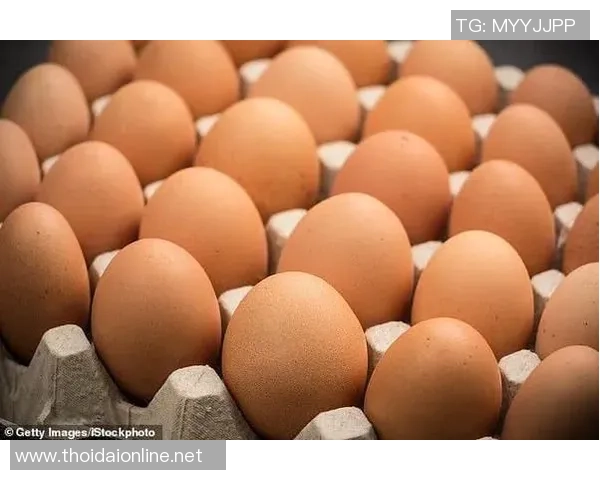 足球明星挑战吃鸡蛋大赛精彩视频引发热议与关注 足球明星挑战吃鸡蛋大赛精彩视频引发热议与关注