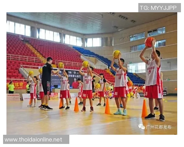 权威发布：排球灵活性实力榜单_1