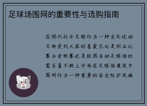 足球场围网的重要性与选购指南